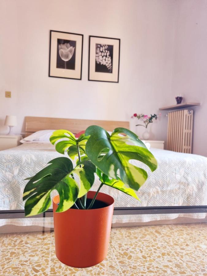 Prime Guest House Піза Екстер'єр фото